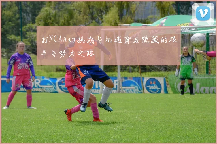 打NCAA的挑战与机遇背后隐藏的艰辛与努力之路