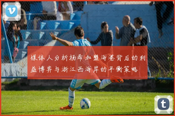 媒体人分析杨希加盟海港背后的利益博弈与浙江西海岸的平衡策略