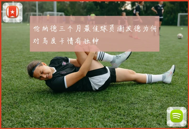 伦纳德三个月最佳球员谢泼德为何对乌度卡情有独钟